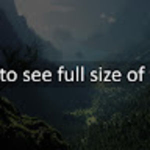 Meet your Posher, Ronald